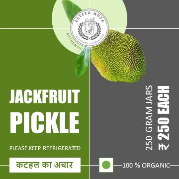 JACKFRUIT  PICKLE
